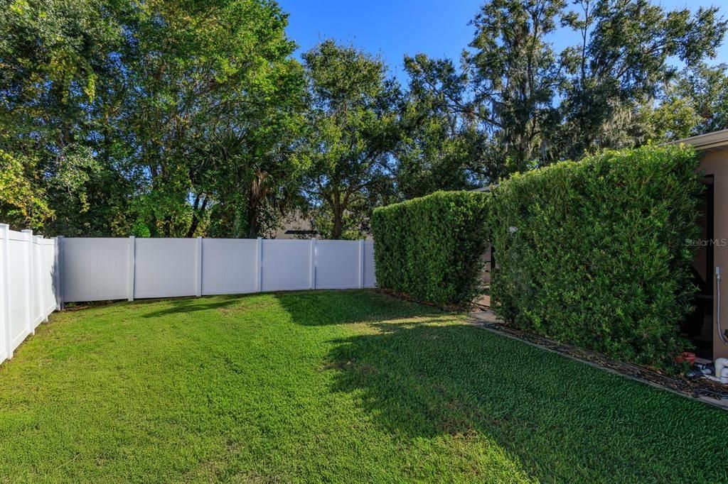 Left side yard- Fully fenced