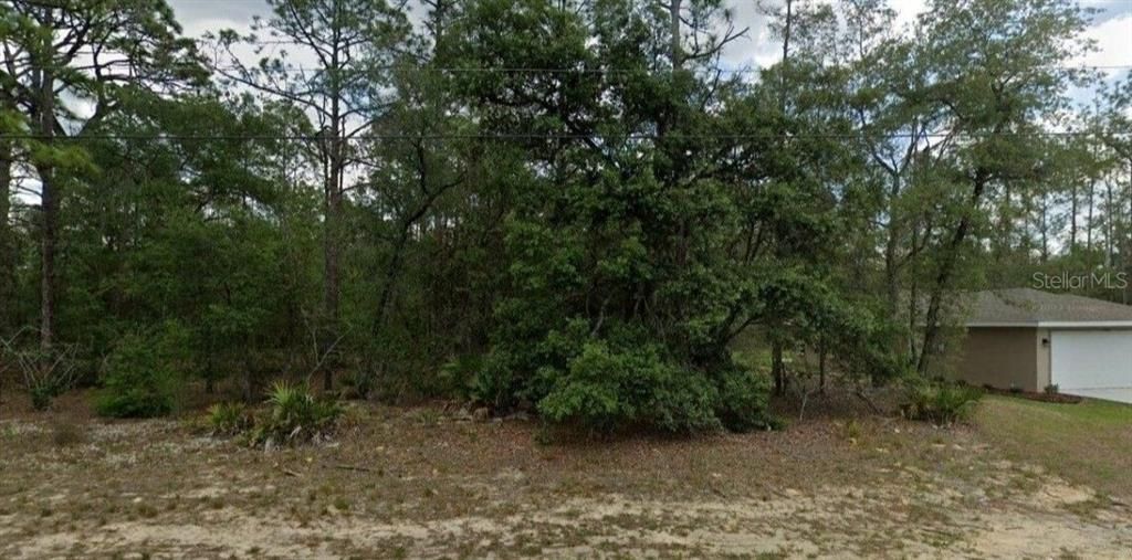 For Sale: $25,000 (0.23 acres)