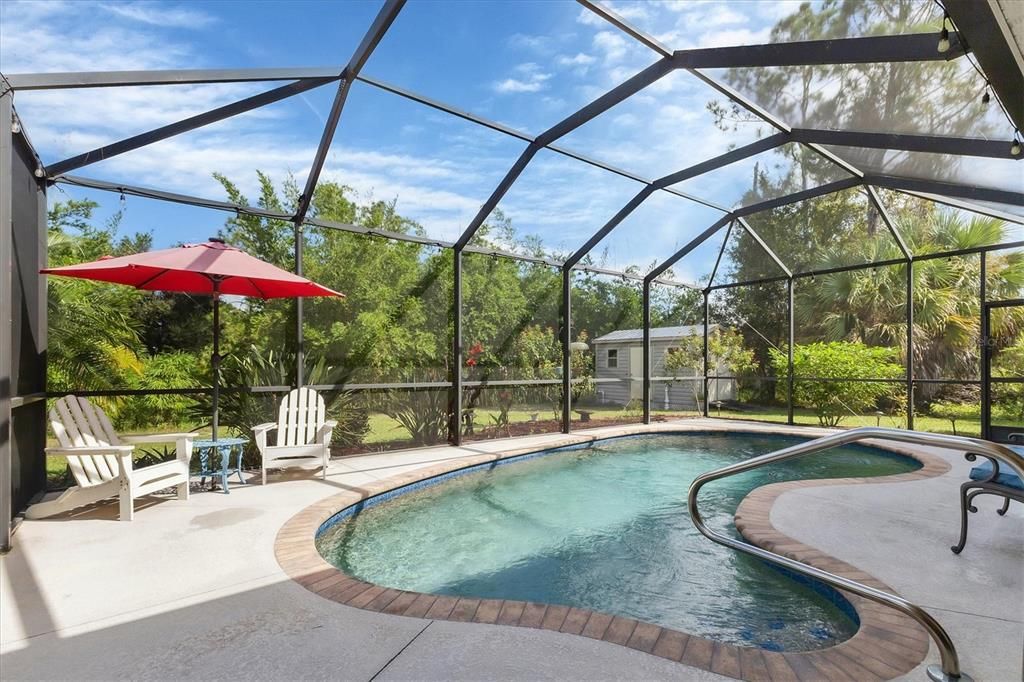 Salt water pool with cathedral cage