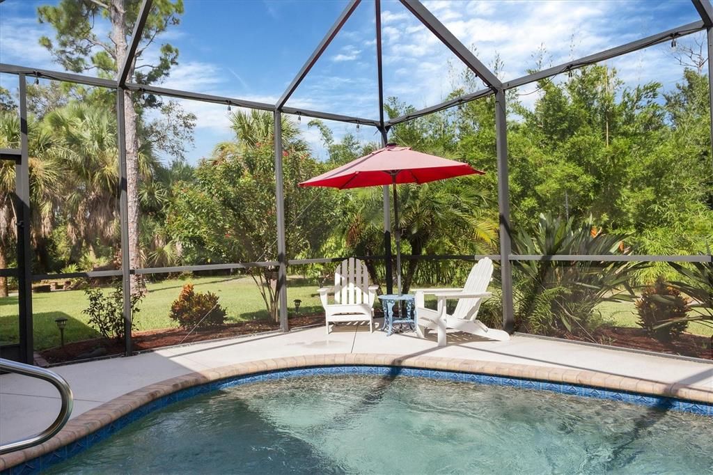 Salt water pool with large deck