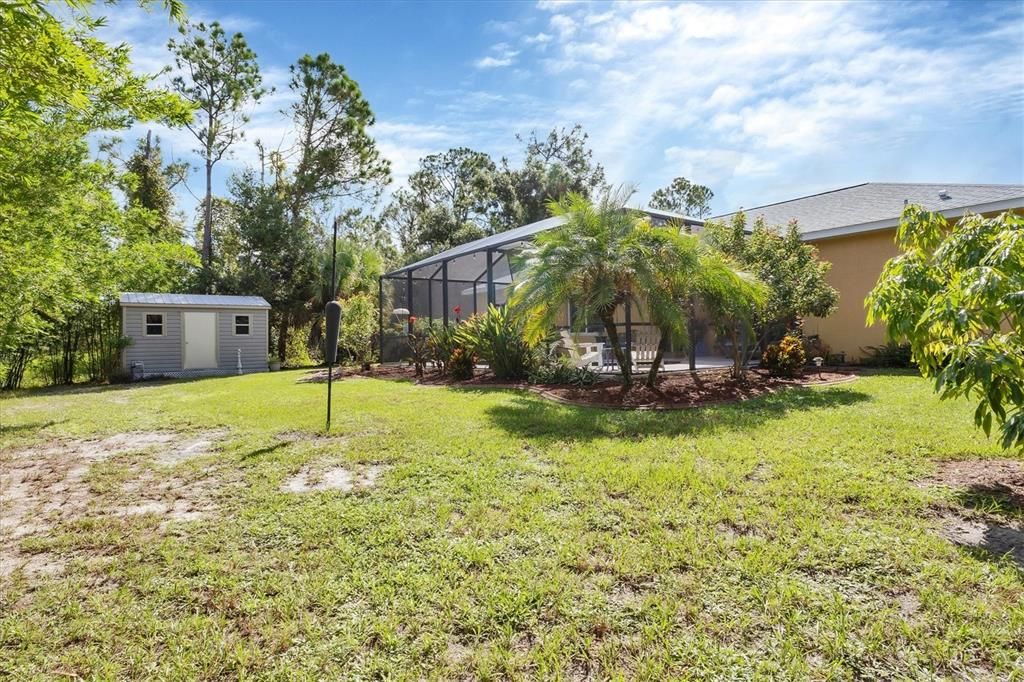 Lots of privacy and a storage shed