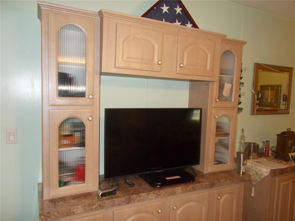 Living Room with built-in cabinet