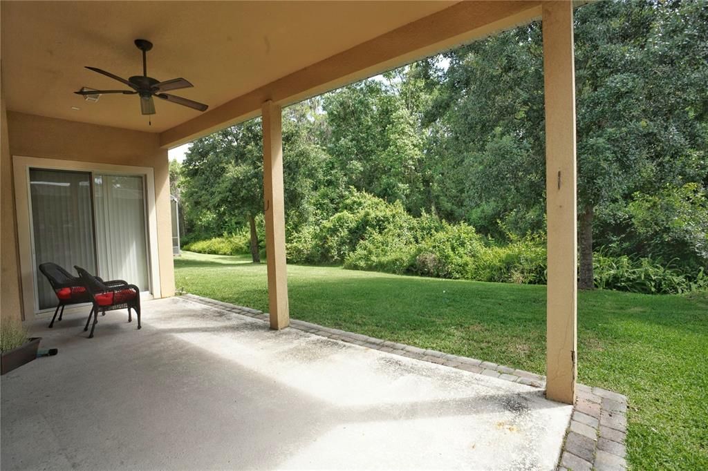 Back Porch Looking onto Preserve