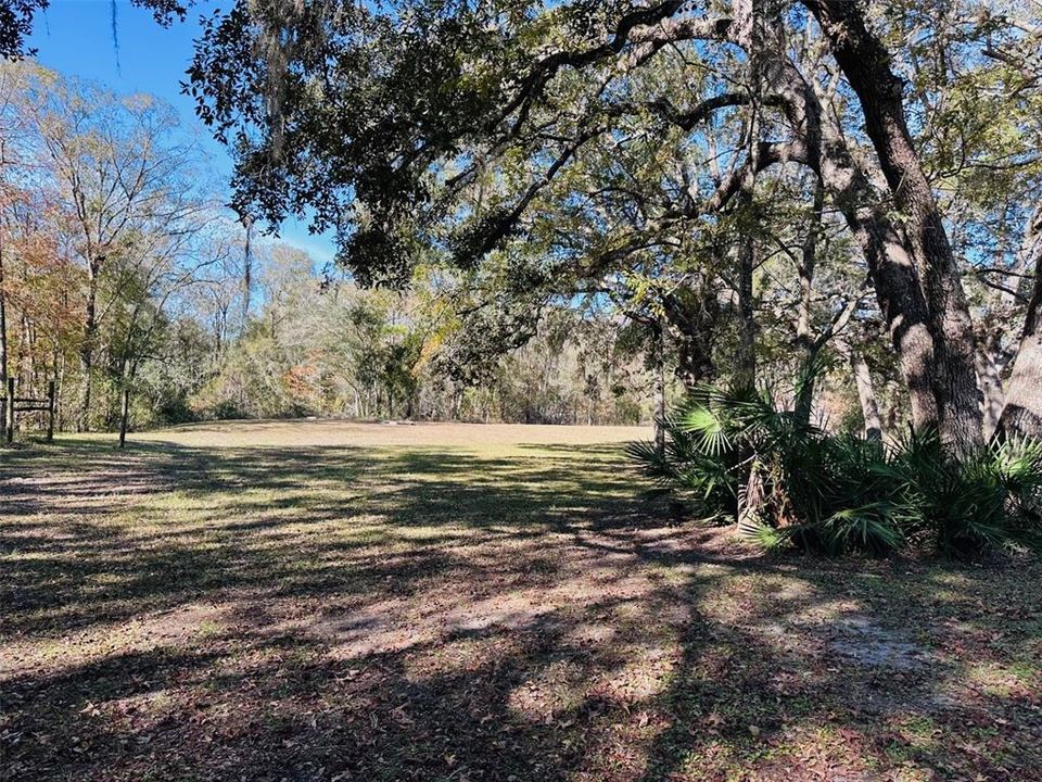 For Sale: $159,999 (1.25 acres)