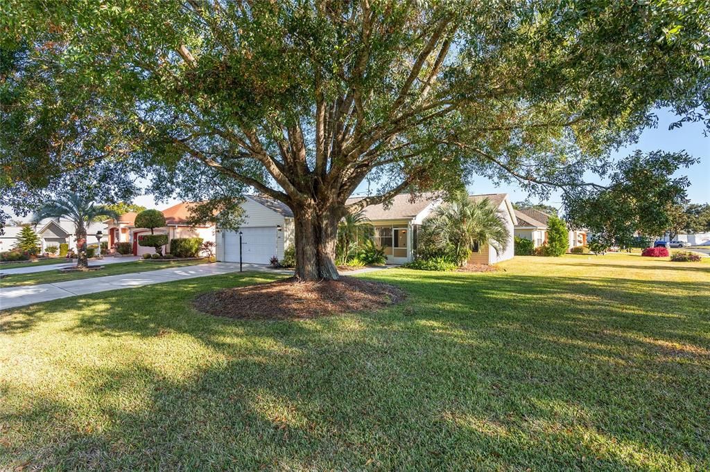 street view showing large corner lot