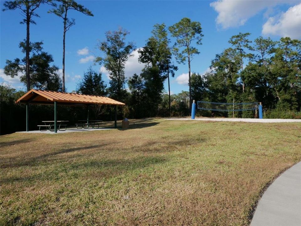 Community Picnic Area and Sand Volleyball Courts