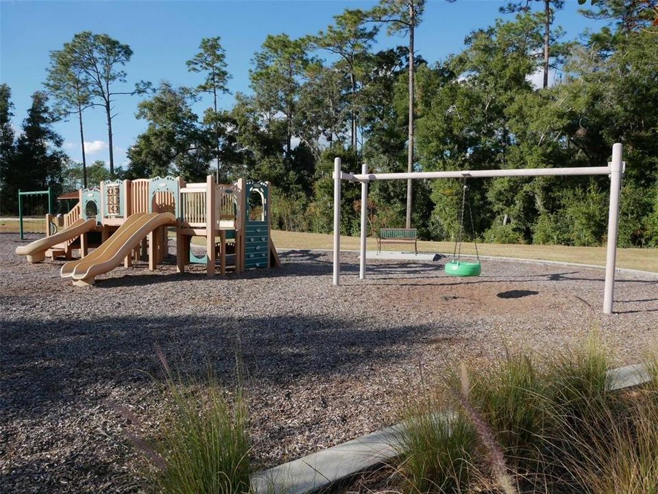 Community Playground