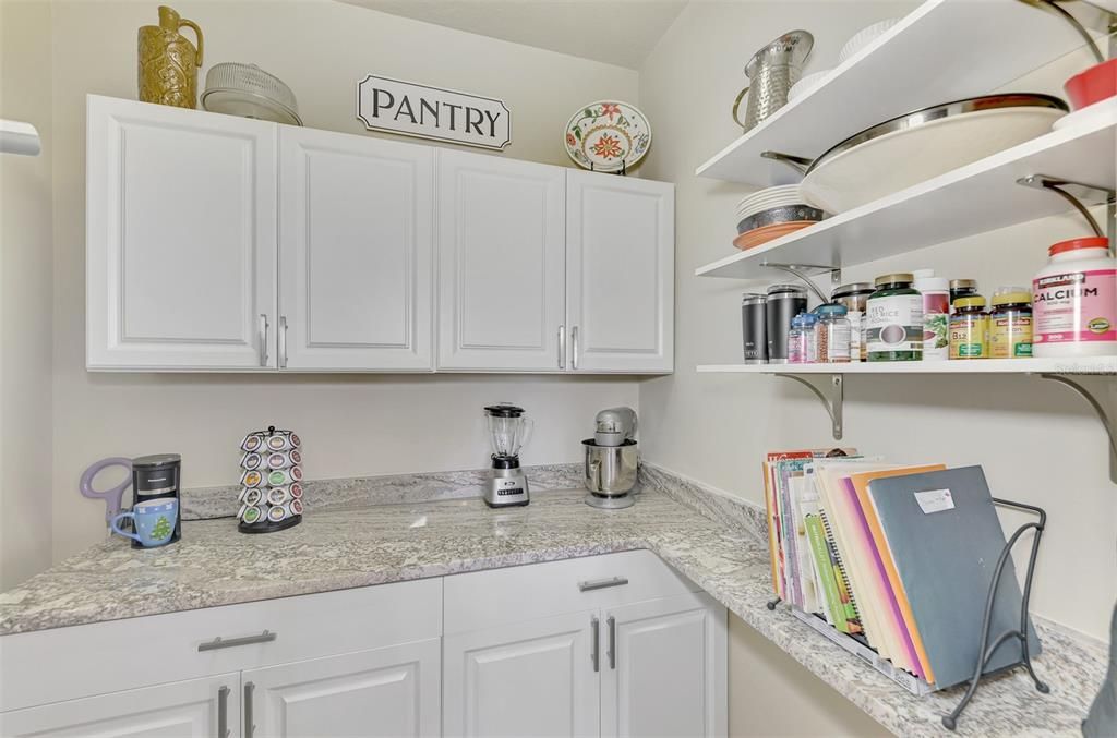 Amazzing walk-in pantry