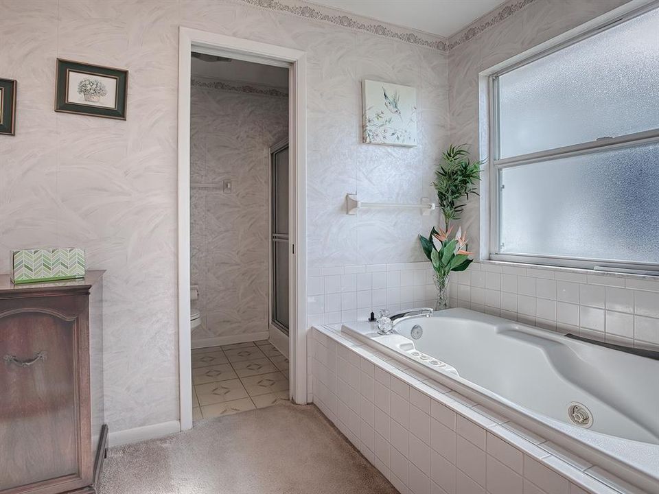 SPACIOUS SPA TUB IN THE EN SUITE MASTER BATH