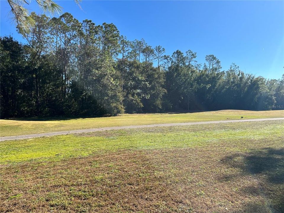 Golf Course View