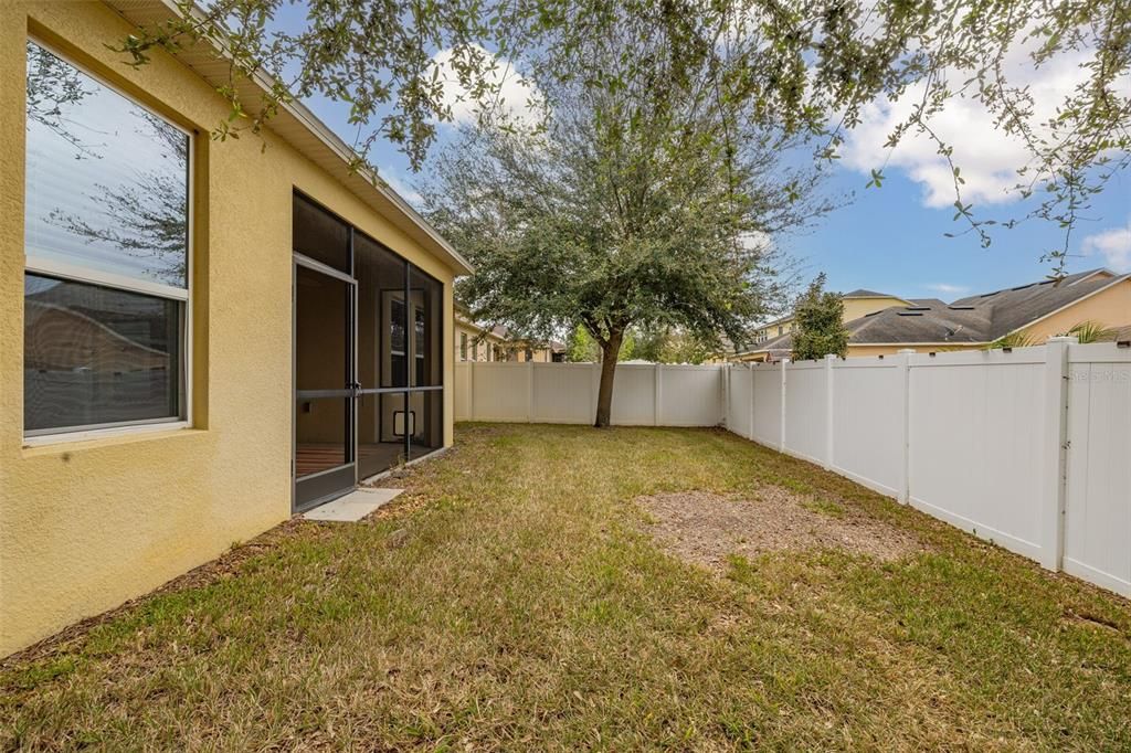 Fenced Backyard