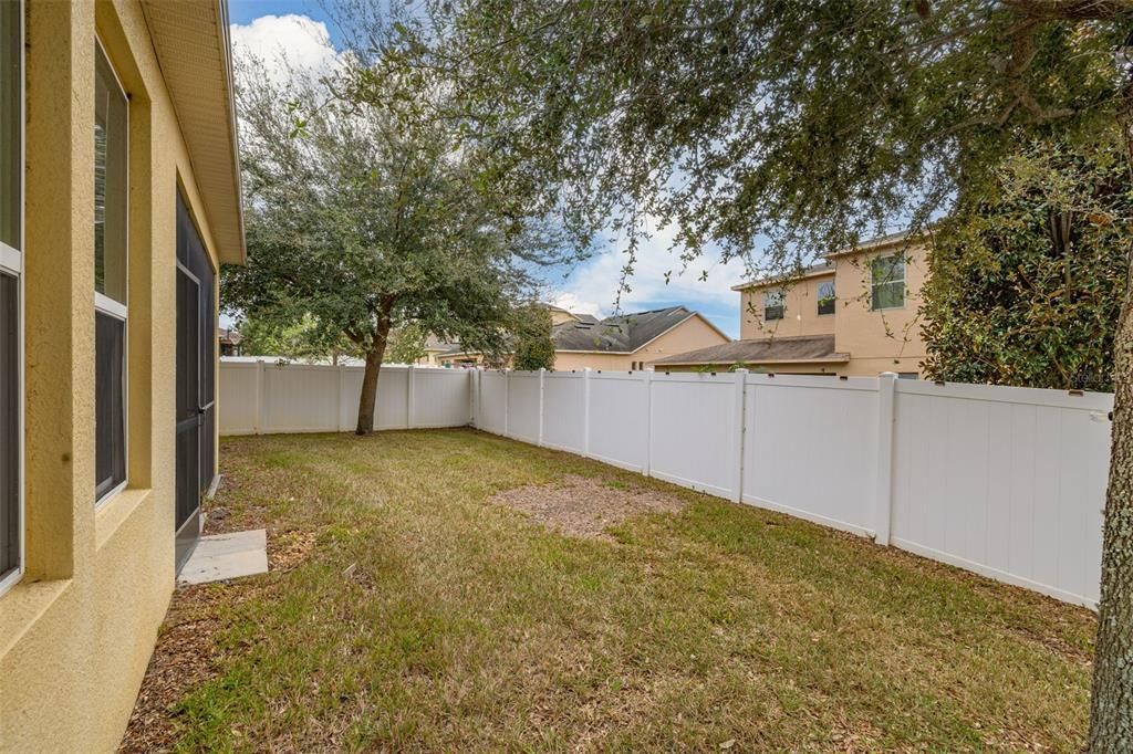 Fenced Backyard