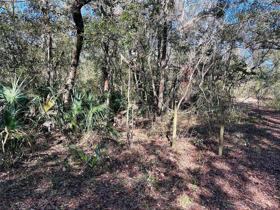 En Venta: $29,999 (0.34 acres)