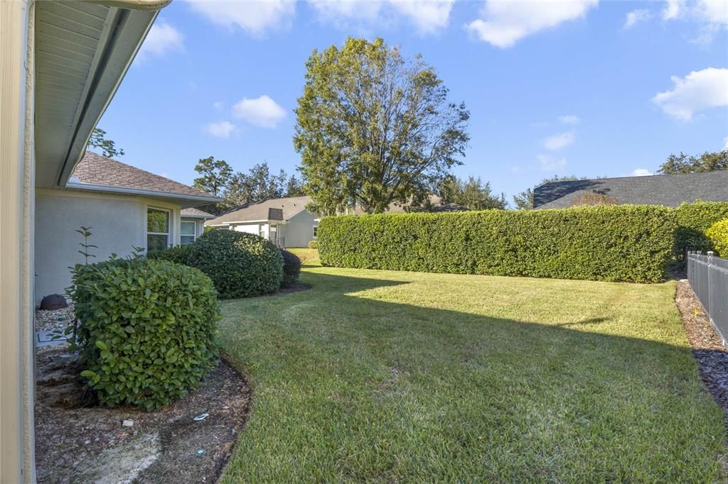 View of the spacious private backyard