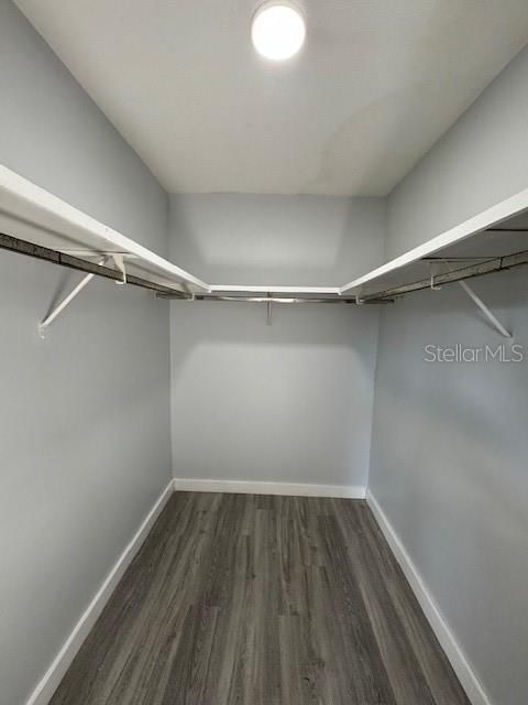 Primary Walk in Closet