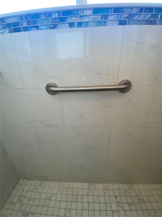 Primary EnSuite Shower with Safety Bars Fully Updated