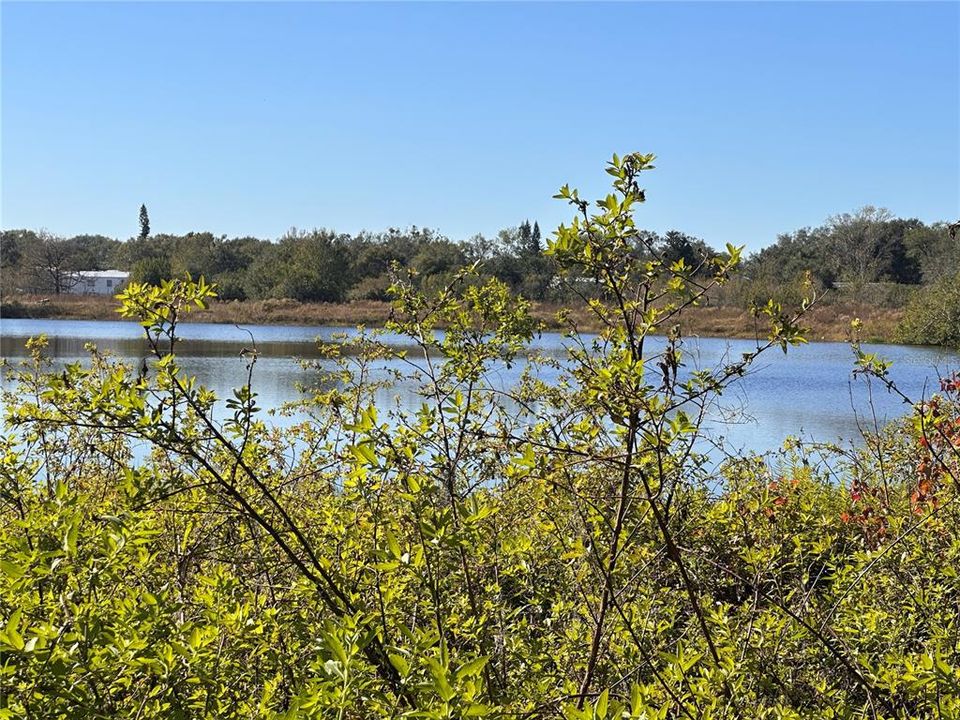 SMALL LAKE ON PROPERTY