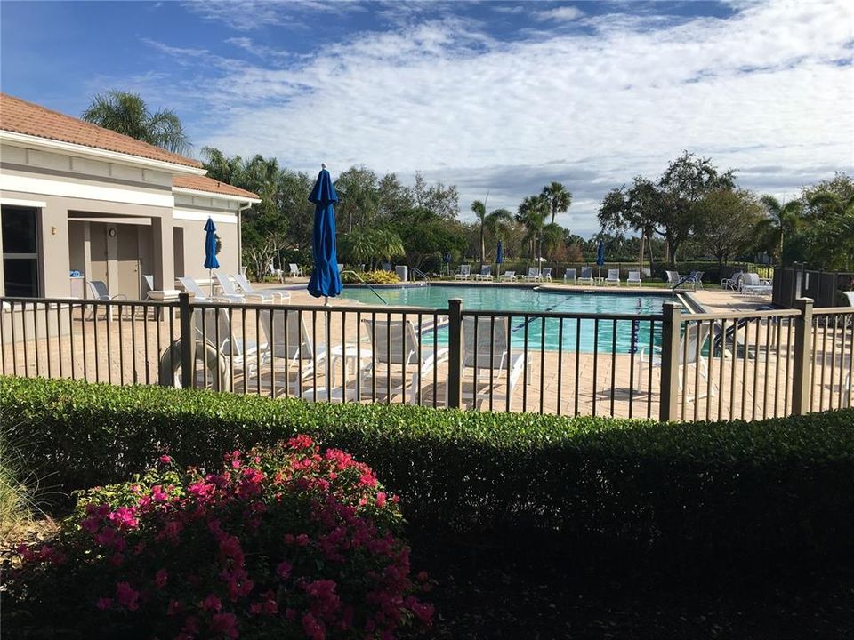 The Community Pool directly along side of the Club House.