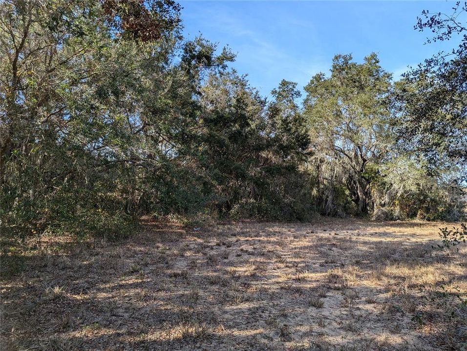 For Sale: $424,900 (5.00 acres)