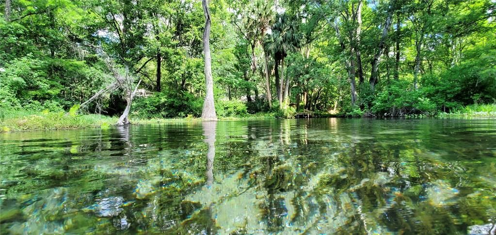 Rainbow Springs Park