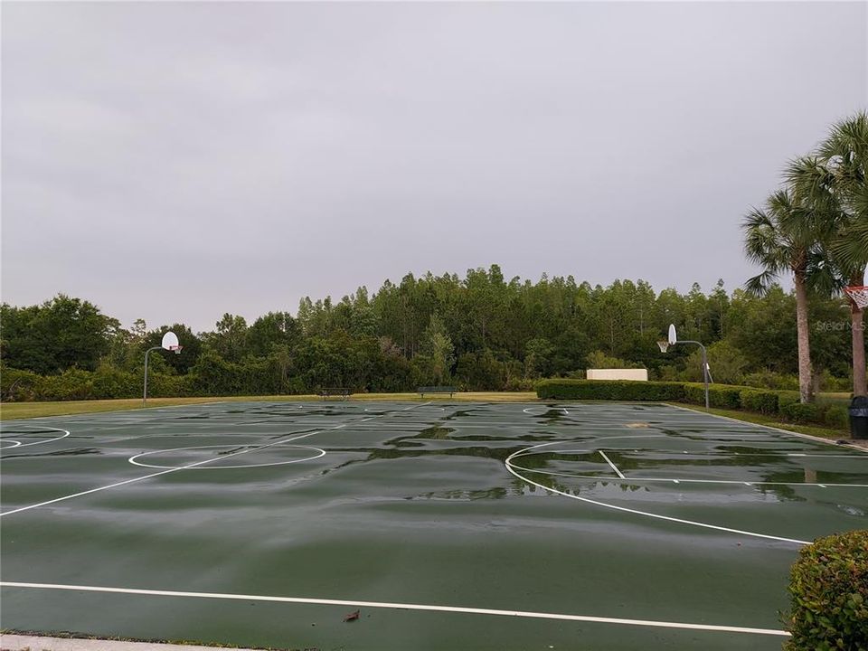 basketball courts