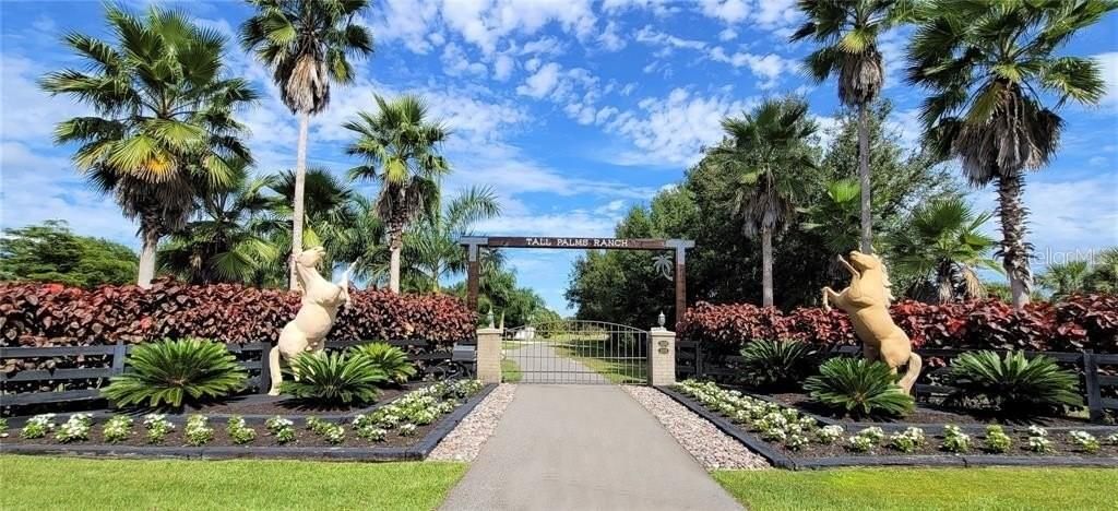 The most exotic landscaping at Tall Palms Ranch