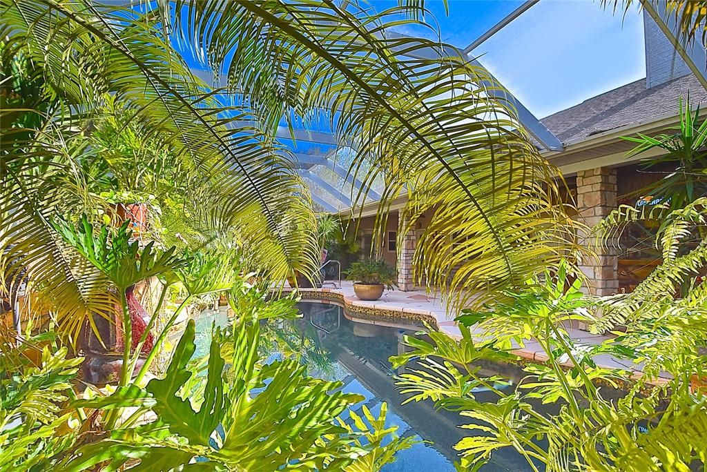 Beautiful Landscaped Pool & Lanai of Main Residence at Tall Palms Ranch