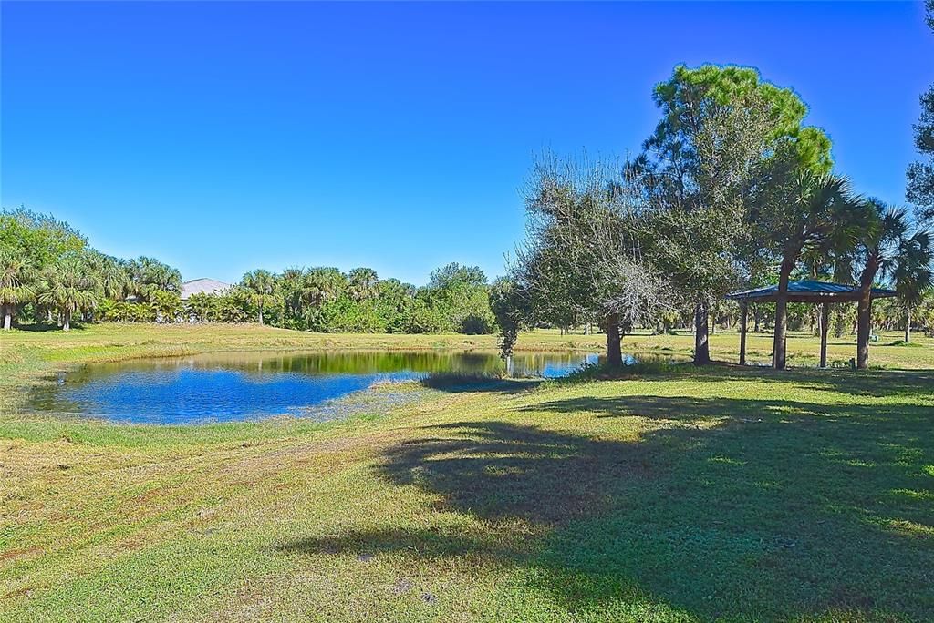 Pond in backyard of Main Residence at Tall Palms Ranch