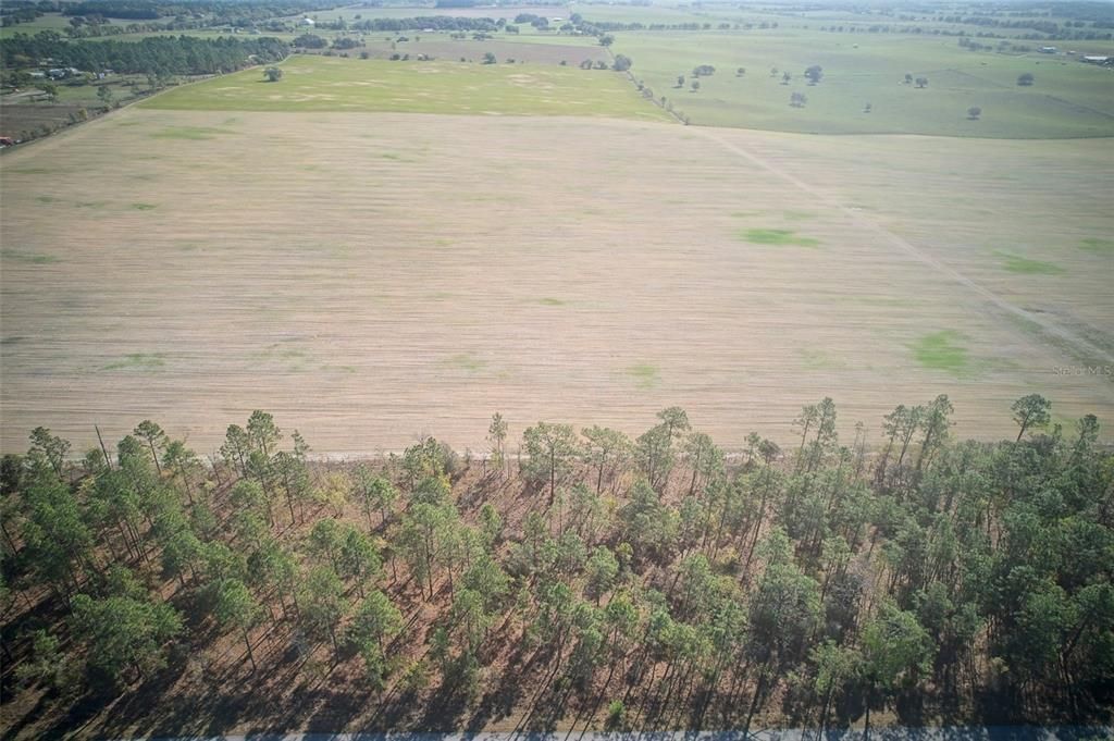 Drone photo with acreage behind