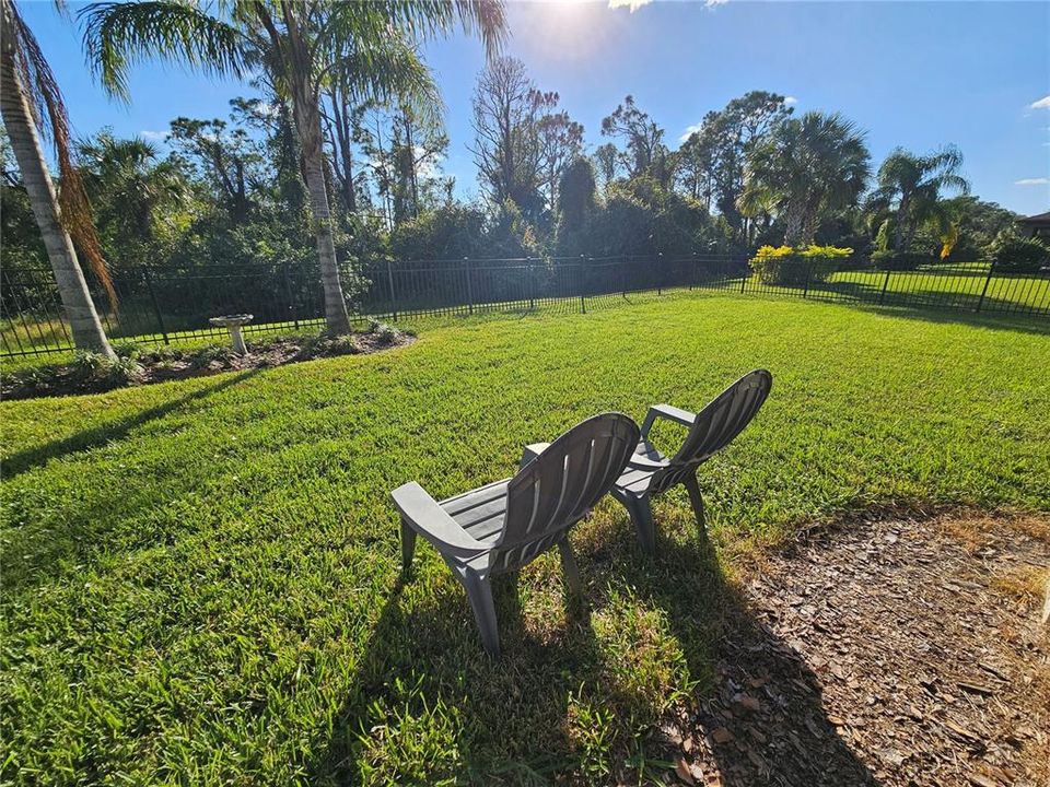 Peaceful Fenced In Back Yard