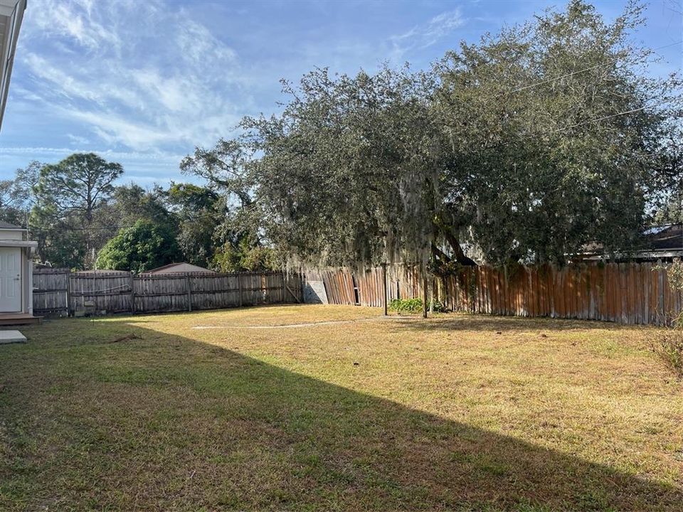 large fenced yard