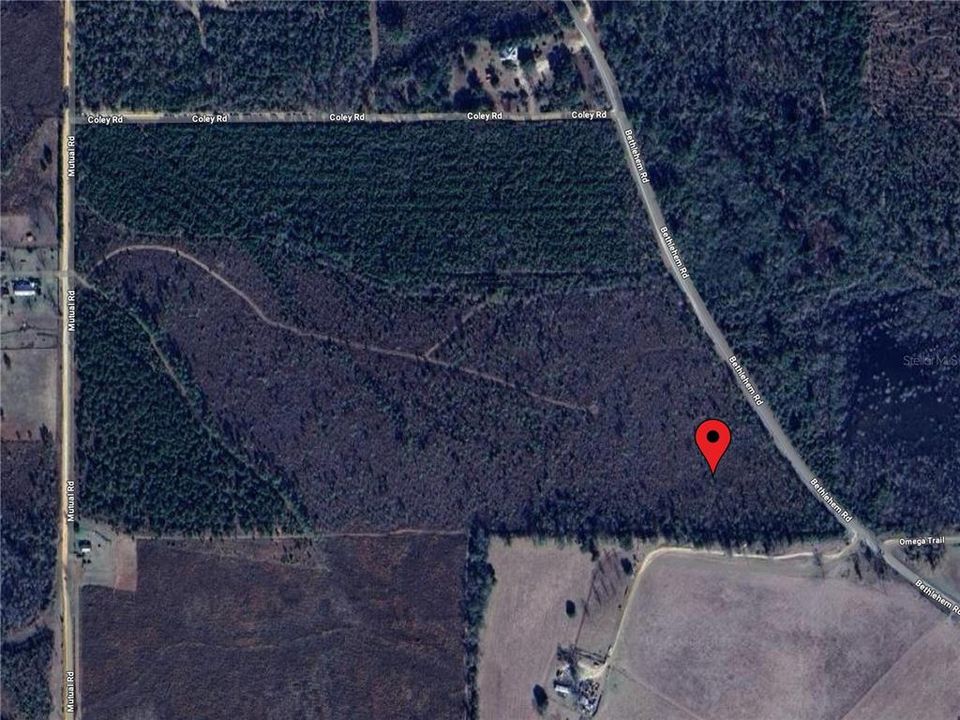 For Sale: $78,000 (10.08 acres)