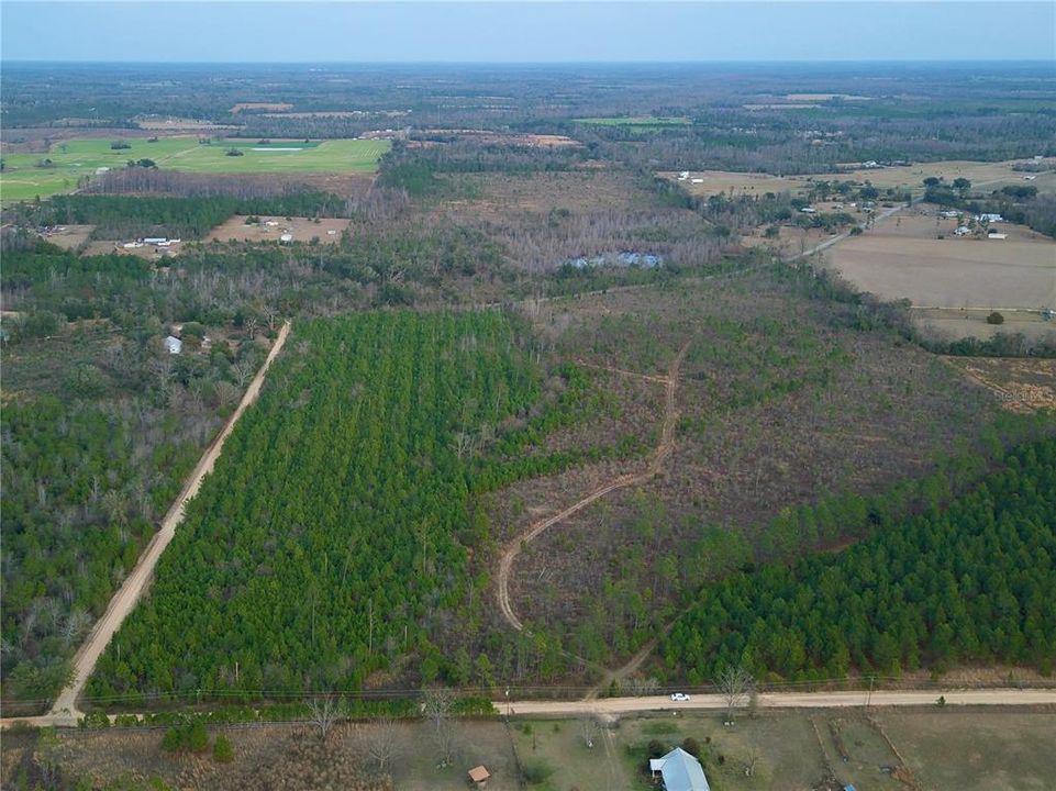 For Sale: $78,000 (10.08 acres)