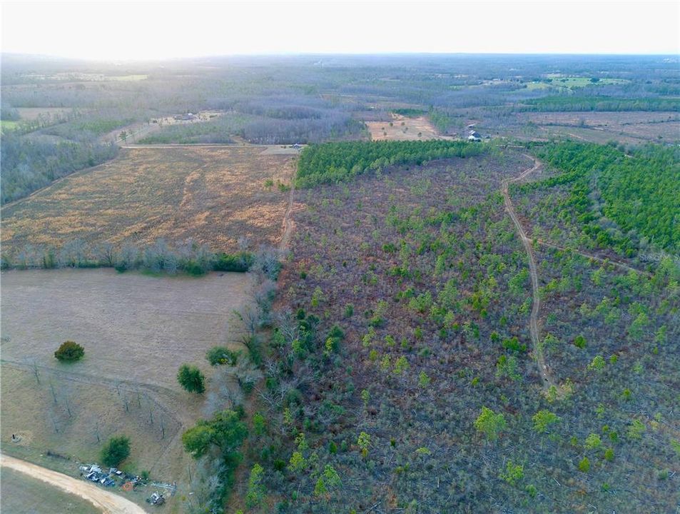 For Sale: $78,000 (10.08 acres)