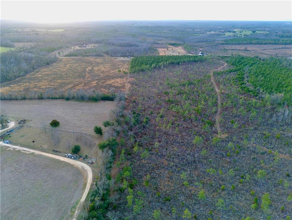 For Sale: $78,000 (10.08 acres)