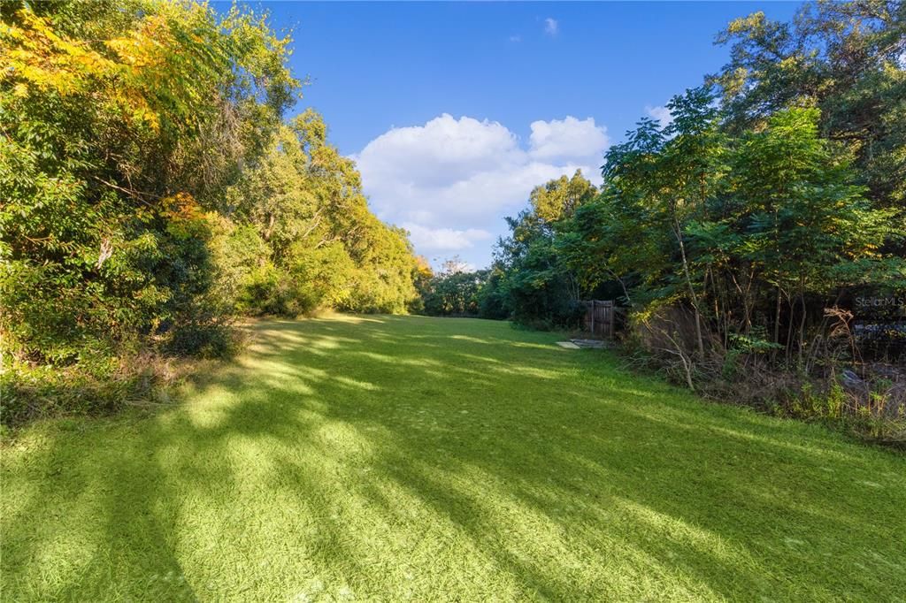 Cleared back yard