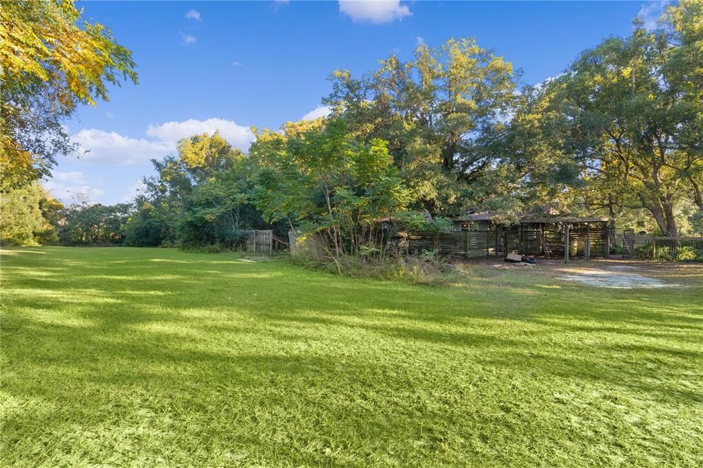 Cleared back yard with home view