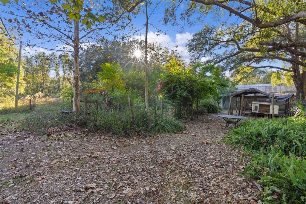 Arbor with fenced garden area