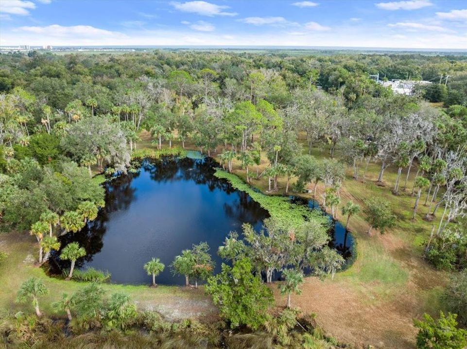 На продажу: $1,950,000 (19.86 acres)