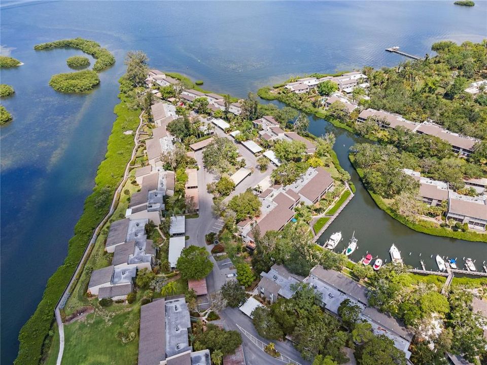 Overview of Pelican Cove harbor entrance along Sarasota Bay