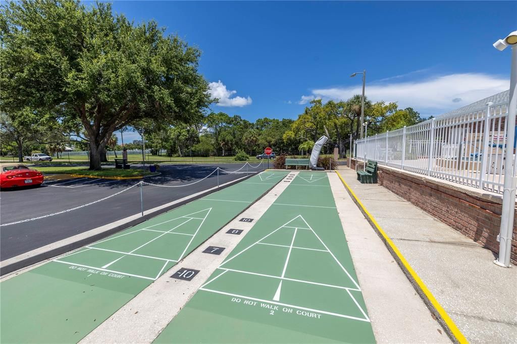 Shuffleboard court