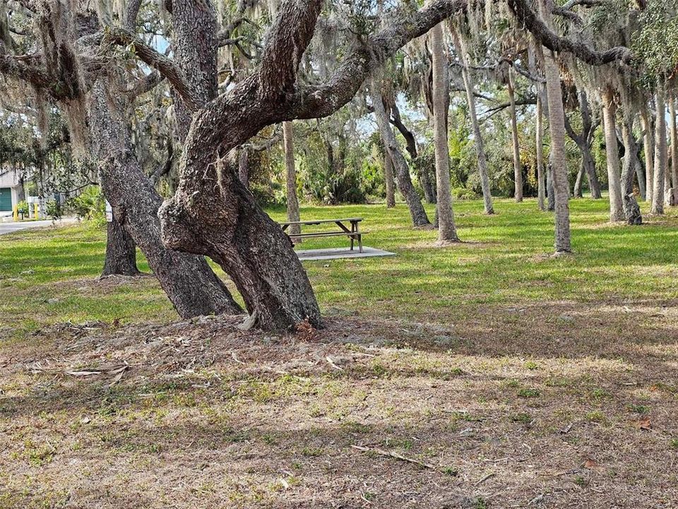 perfect picnic spot