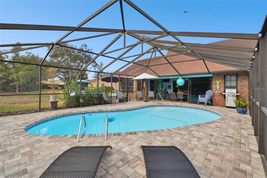 Sparkling pool with screen enclosure