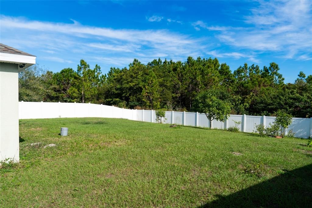 Fenced Backyard