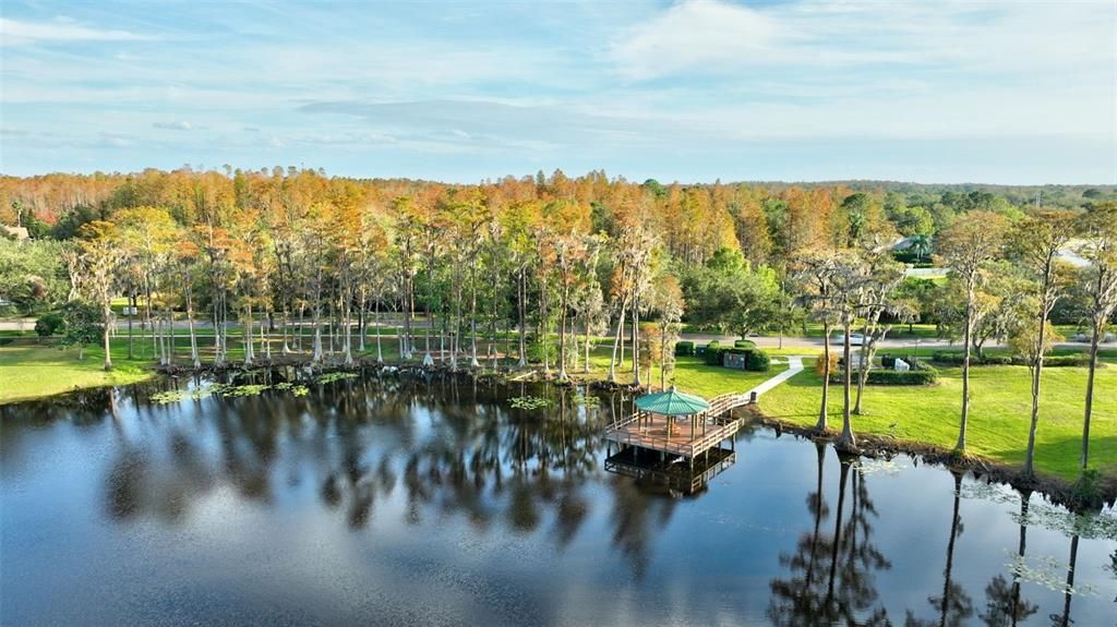 Community Pond and Dock