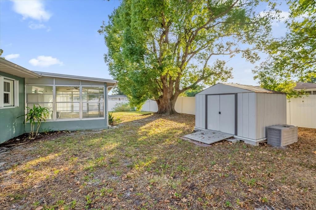 Backyard with Shed