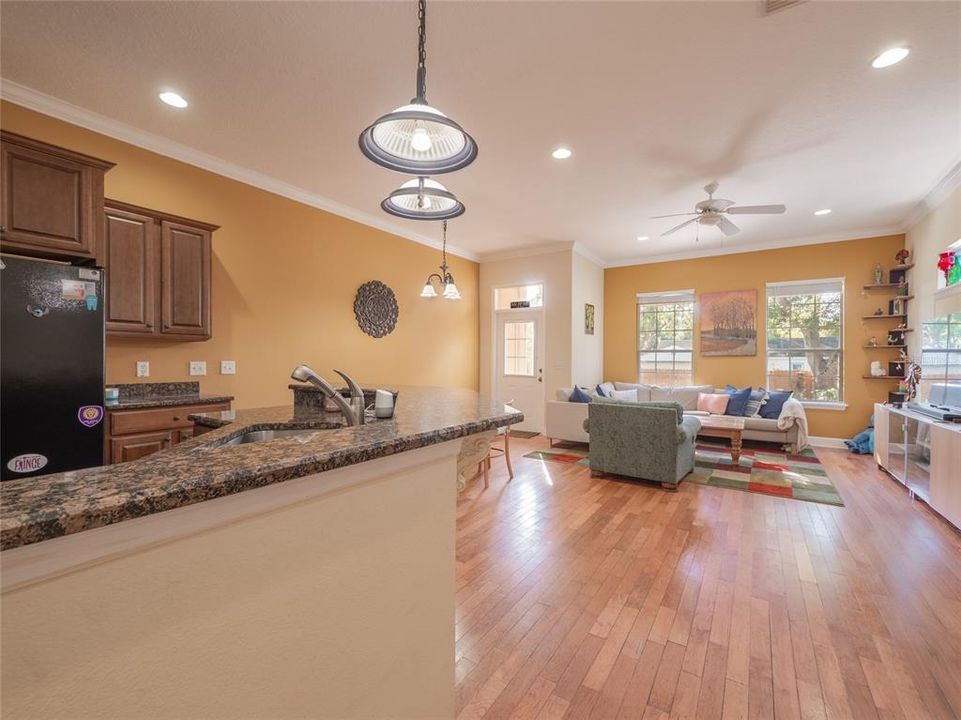 Kitchen/Dining/Living Room from Hall View