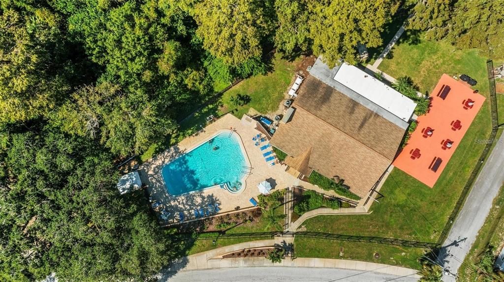 A 2nd heated pool, party & picnic facilities, & a fishing pier at the Lake Tarpon Lodge~