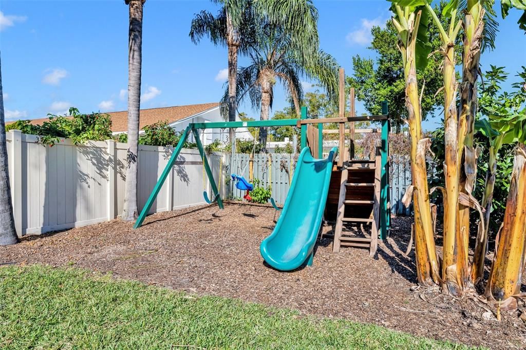 Playset in Backyard