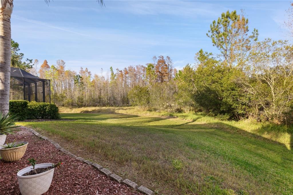 BACK YARD VIEW-CONSERVATION